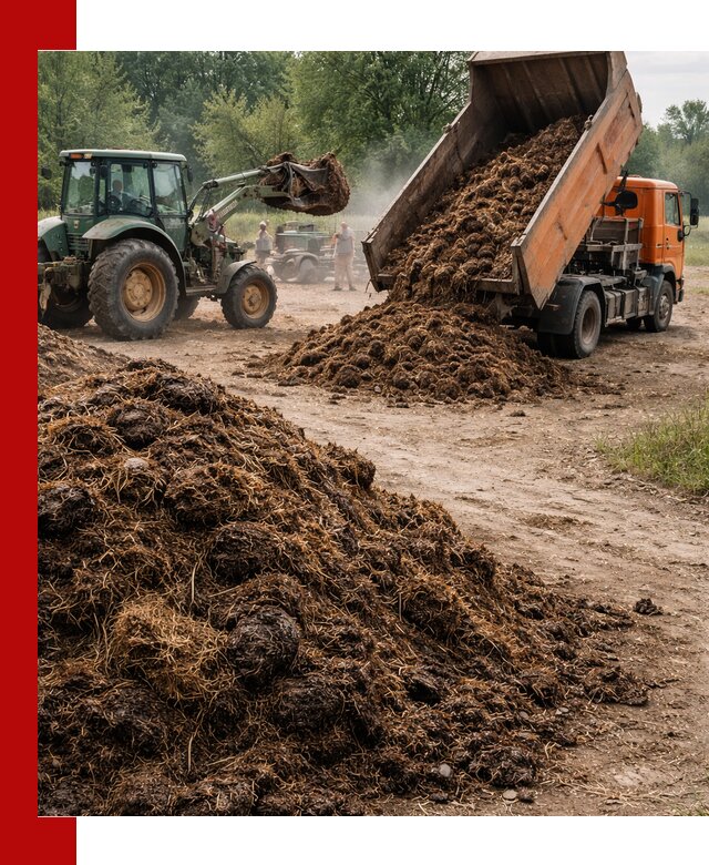 Доставка навоза самосвалами в Лянторе для сельхозпотребностей