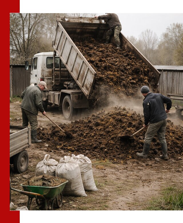 Доставка коровьего навоза самосвалом в Лянторе